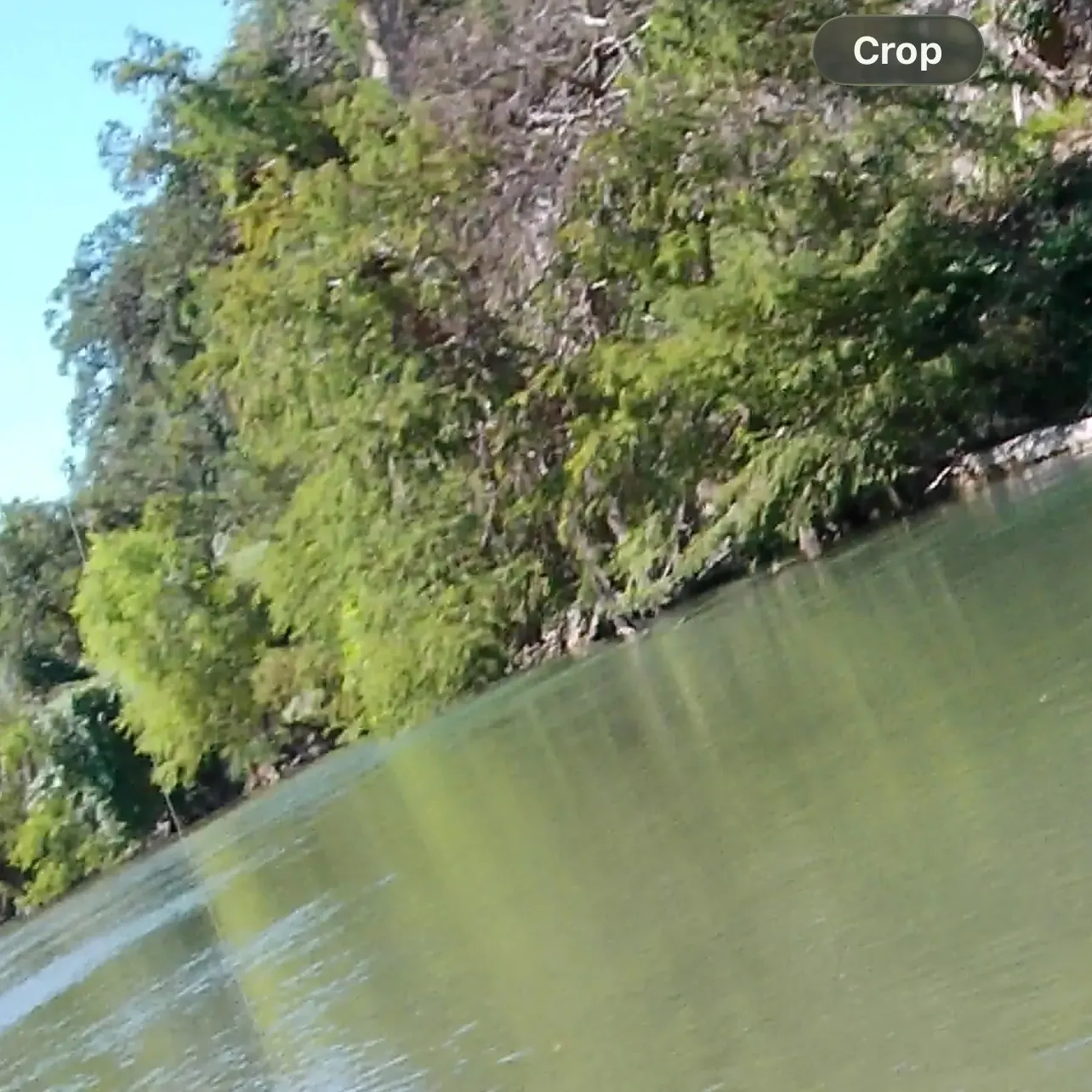 Spotted bass caught on Fishbrain