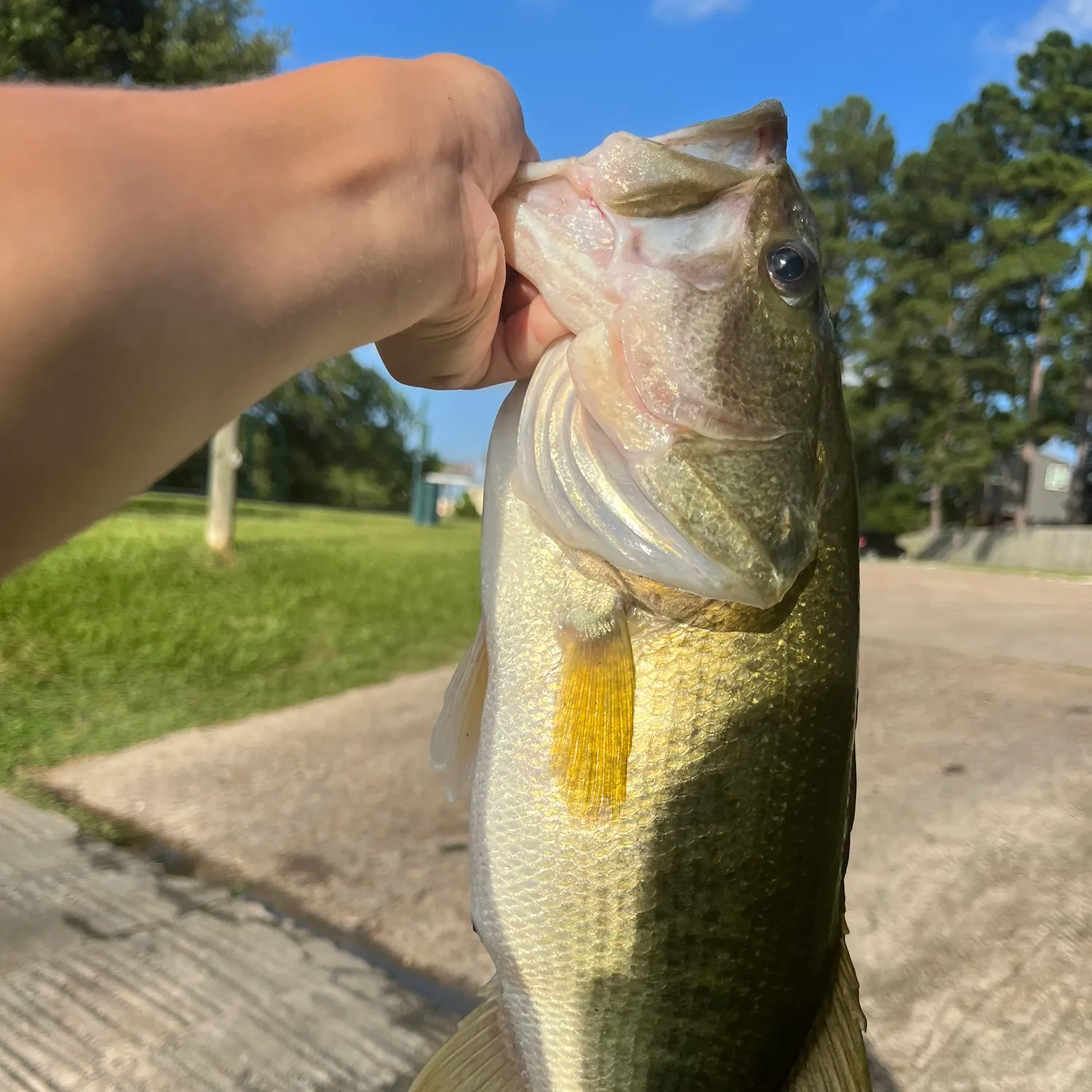 catch