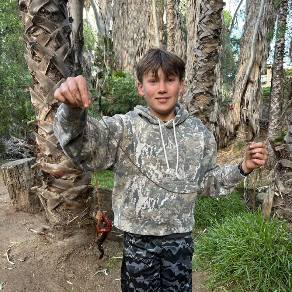 The most recent Red swamp crayfish catches on Fishbrain