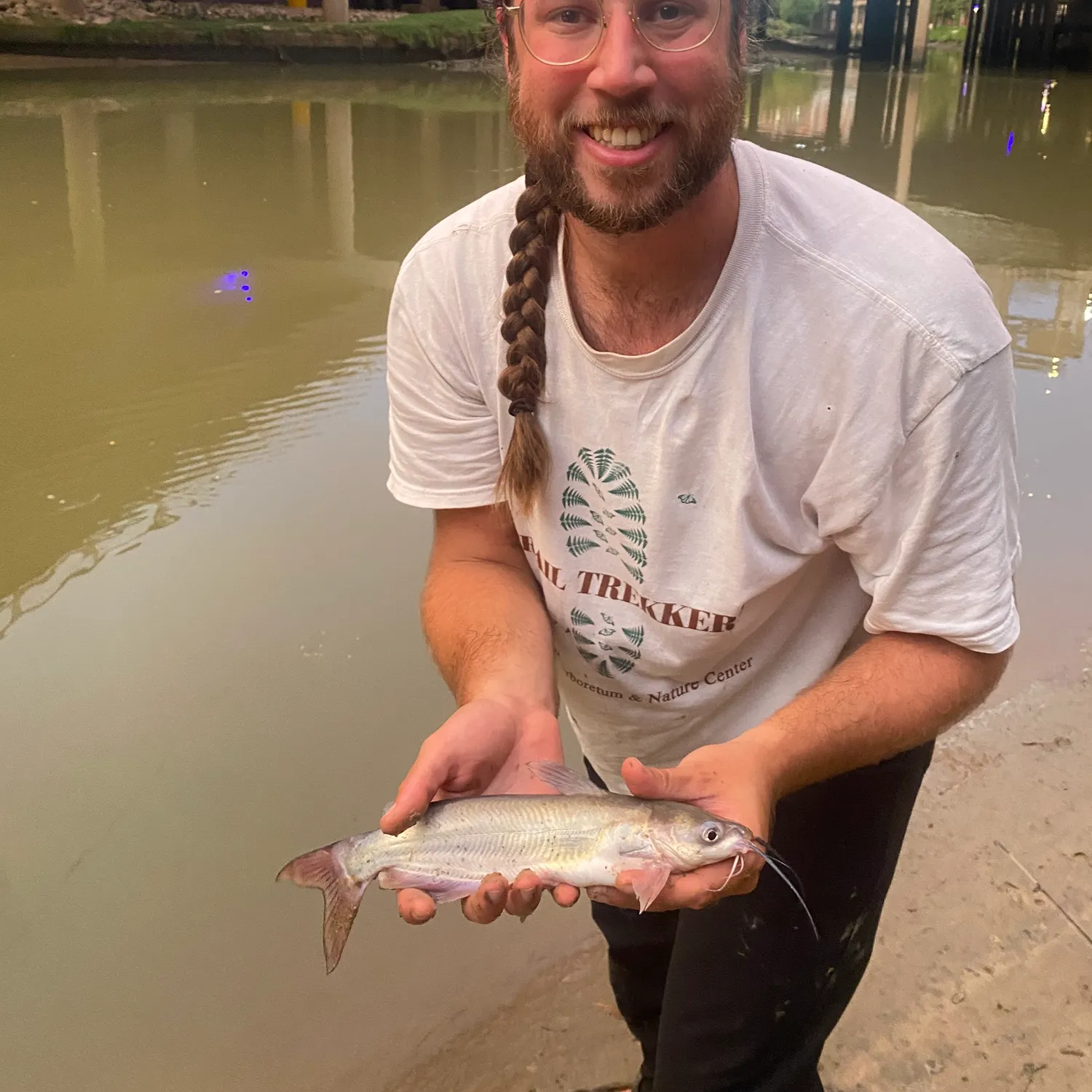 Channel catfish caught on Fishbrain