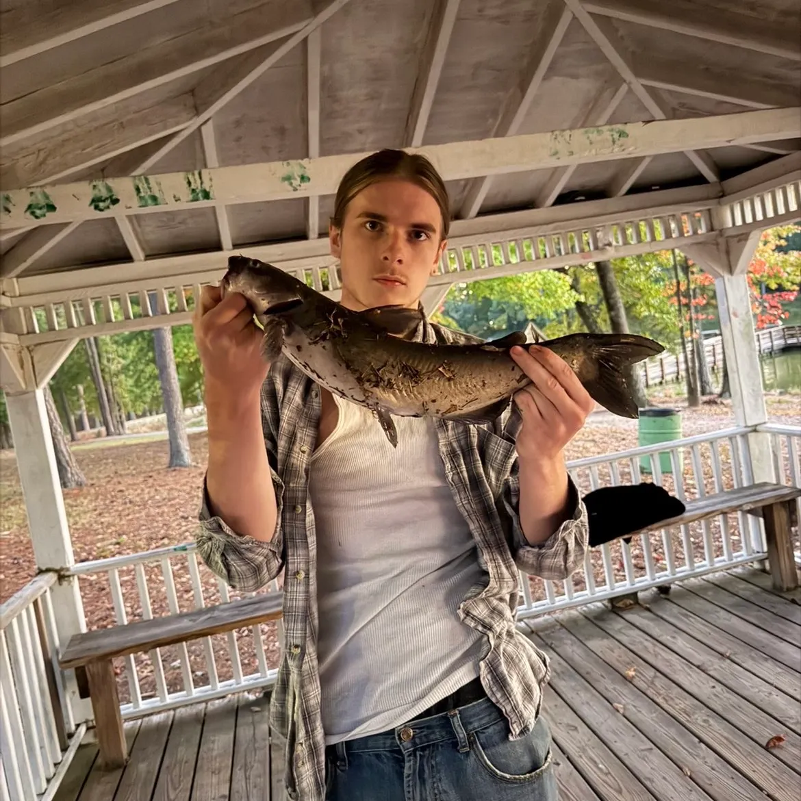 Channel catfish caught on Fishbrain