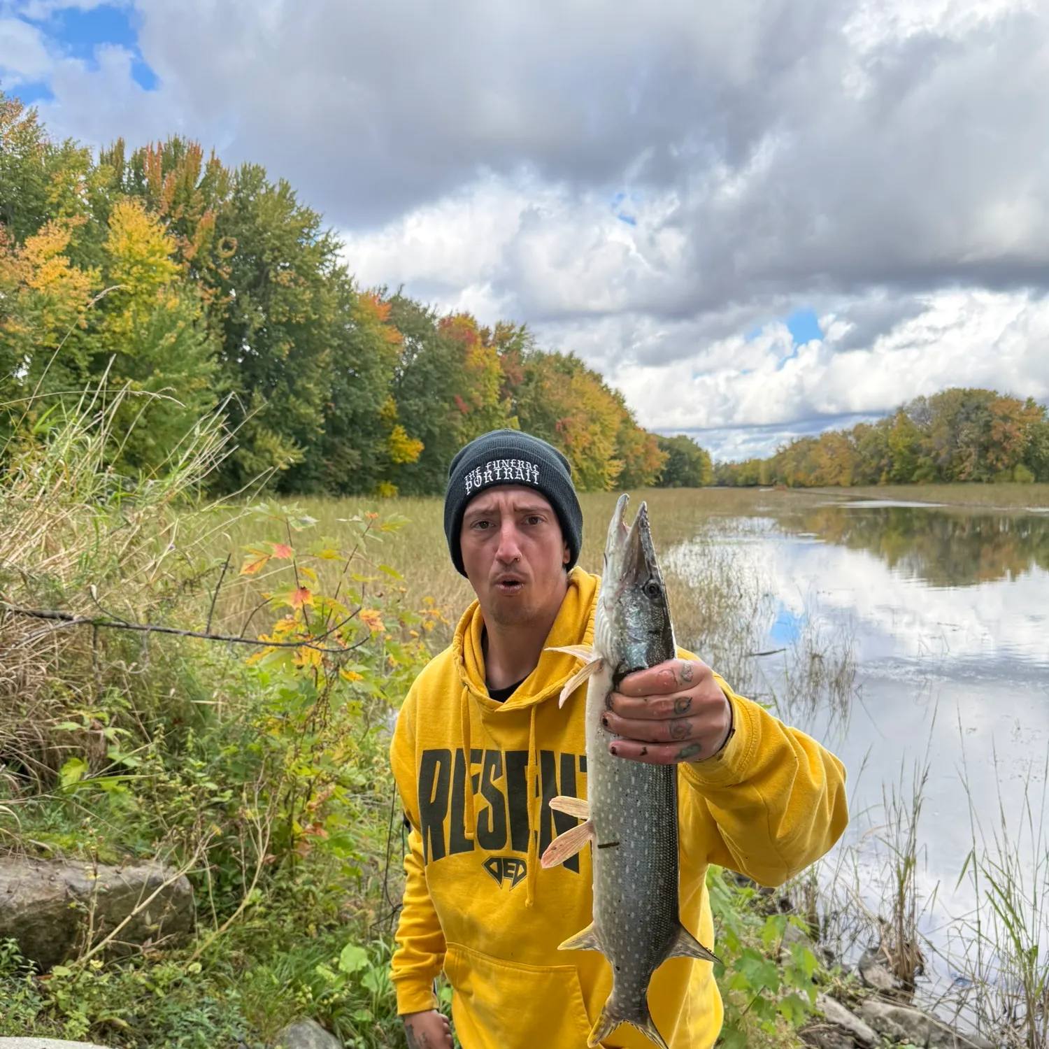 Northern pike caught on Fishbrain