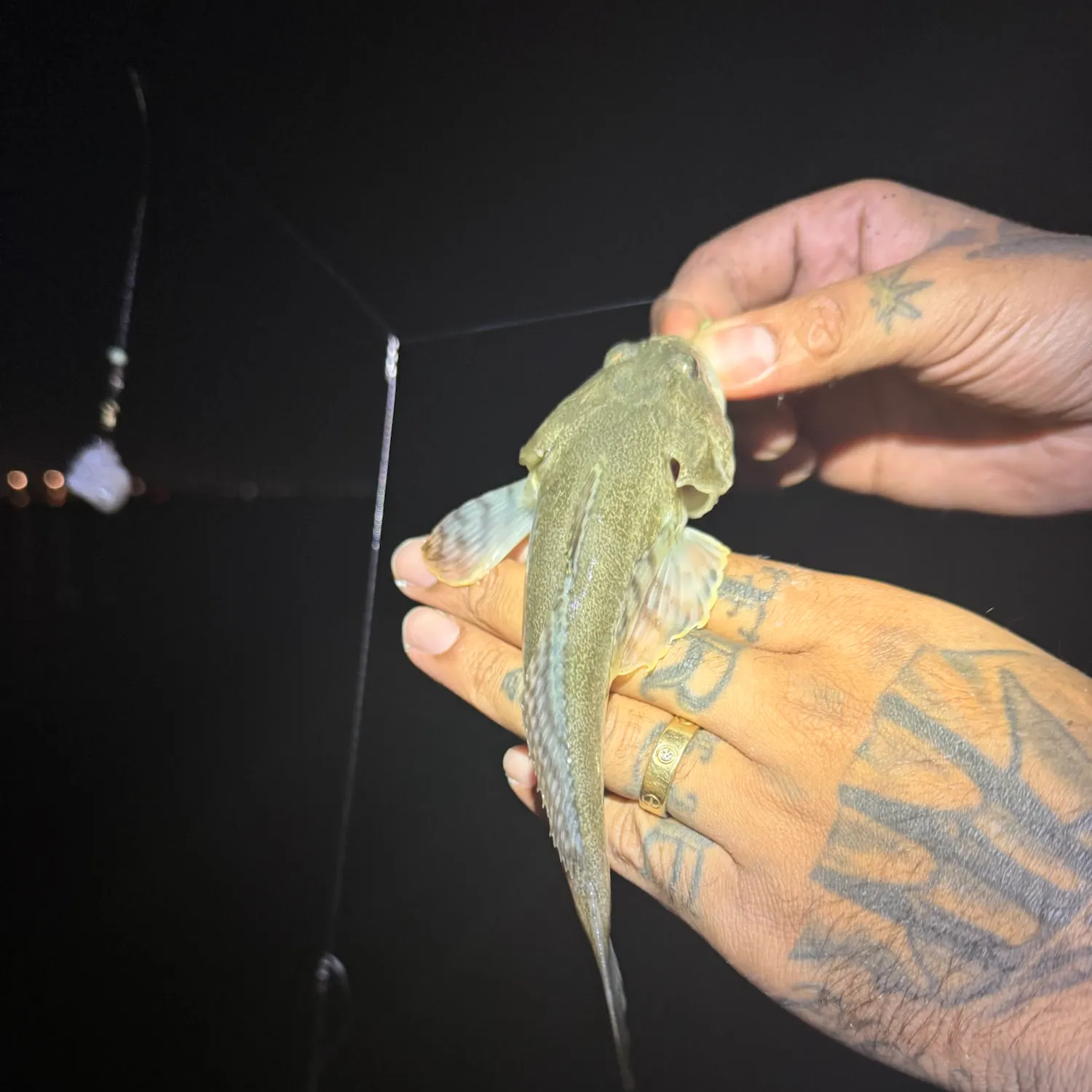 Pacific shovelnose guitarfish caught on Fishbrain