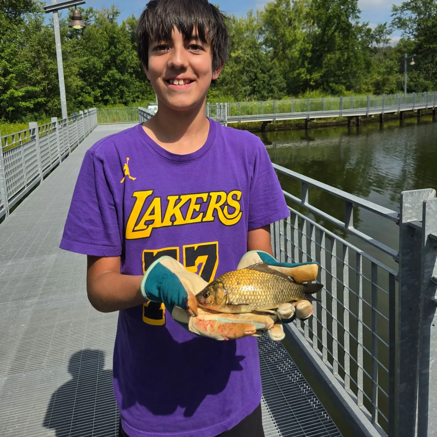 F1 carp caught on Fishbrain