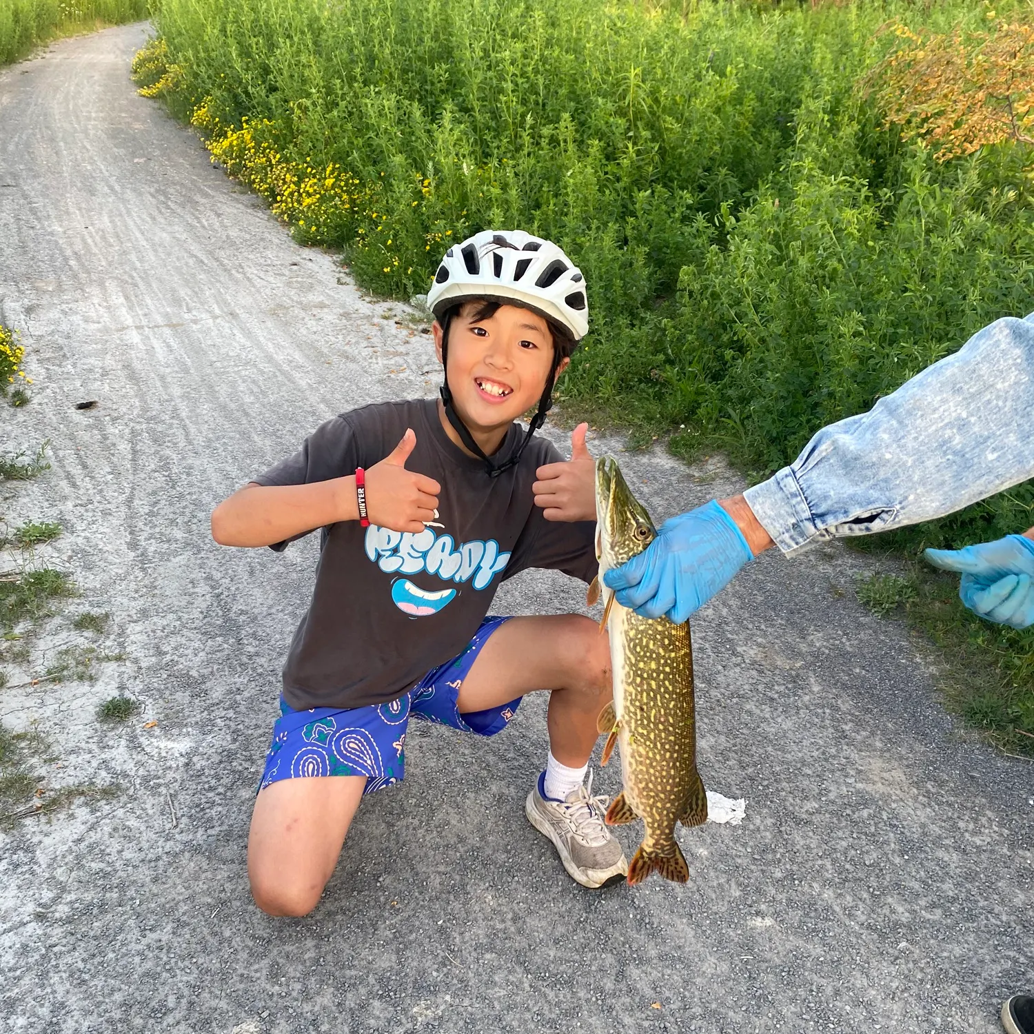Northern pike caught on Fishbrain