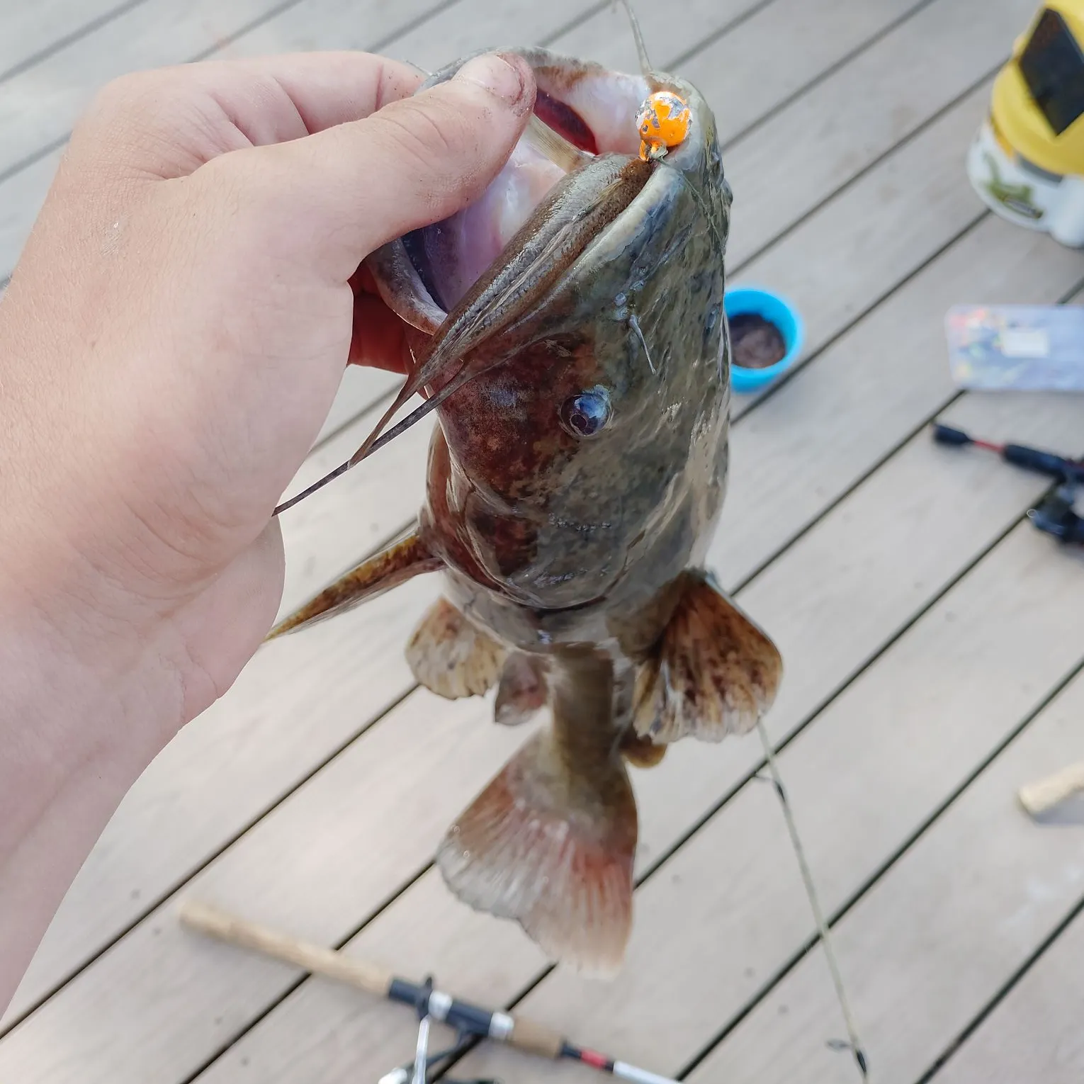 catch