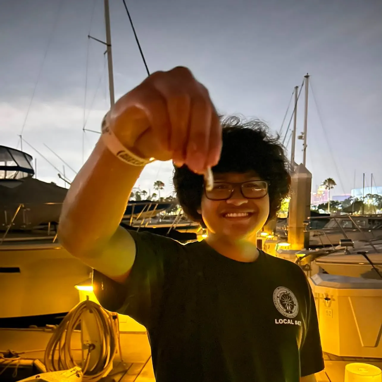 The most recent Southern yellowtail amberjack catches on Fishbrain