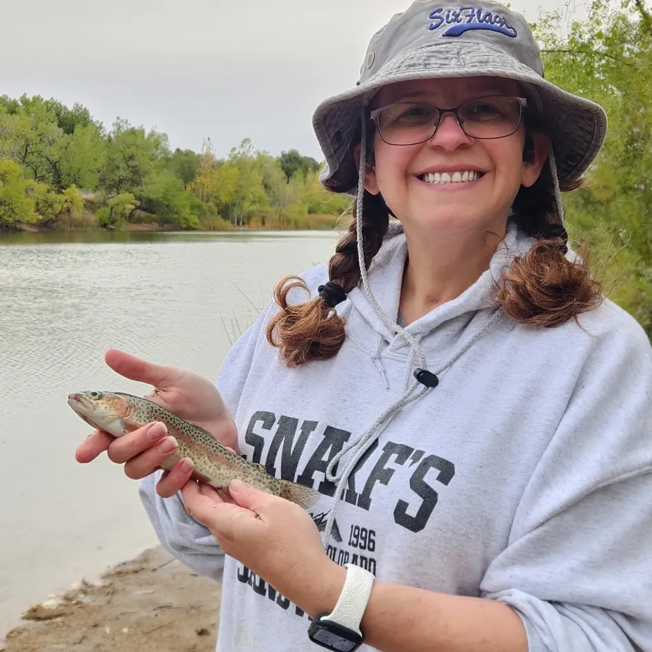 Rainbow trout caught on Fishbrain