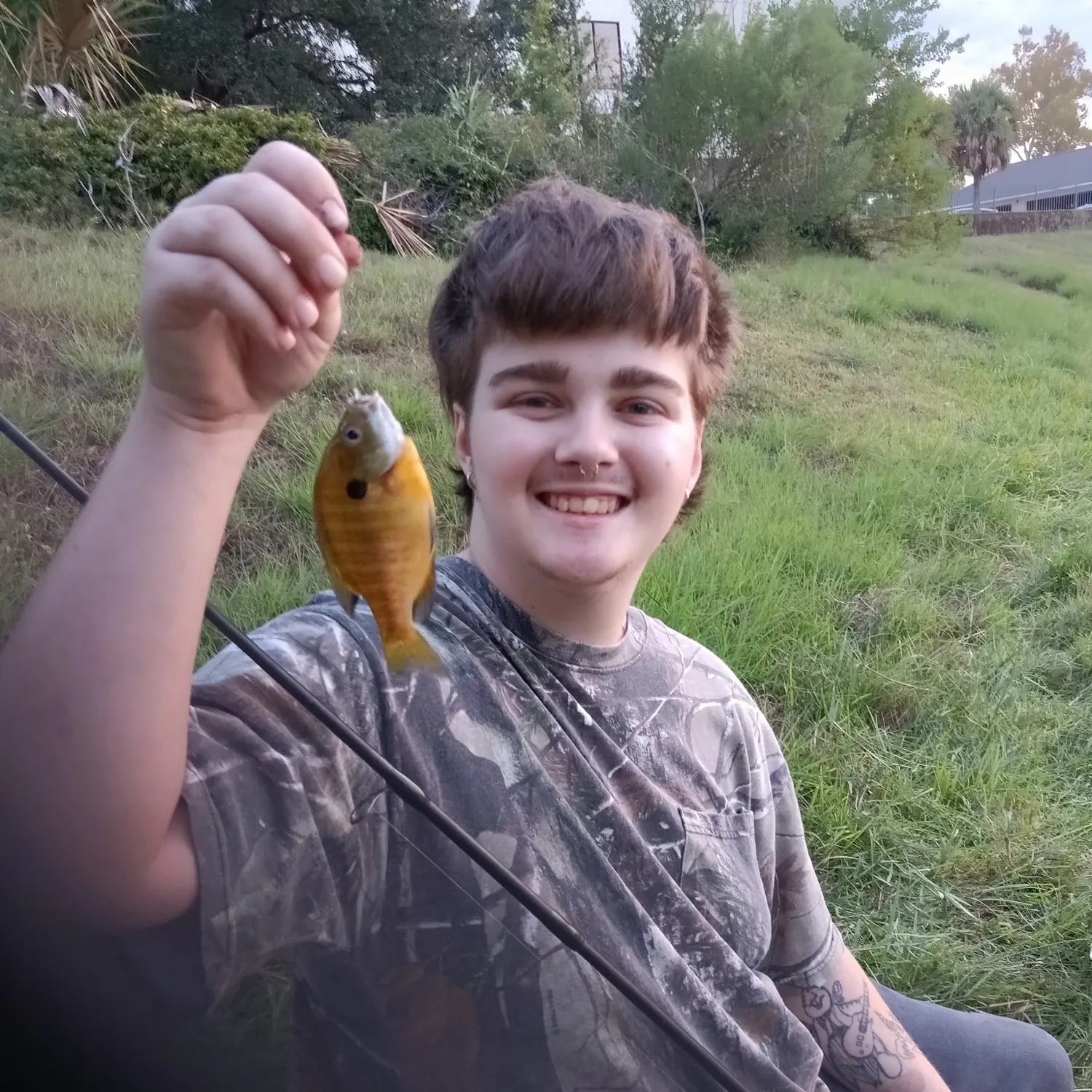 Bluegill caught on Fishbrain