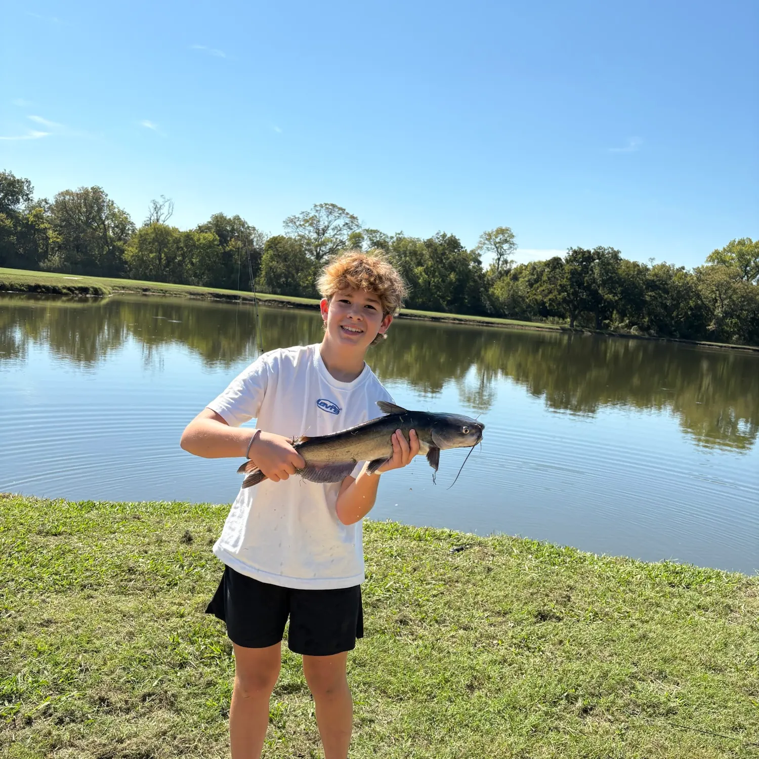 Channel catfish caught on Fishbrain