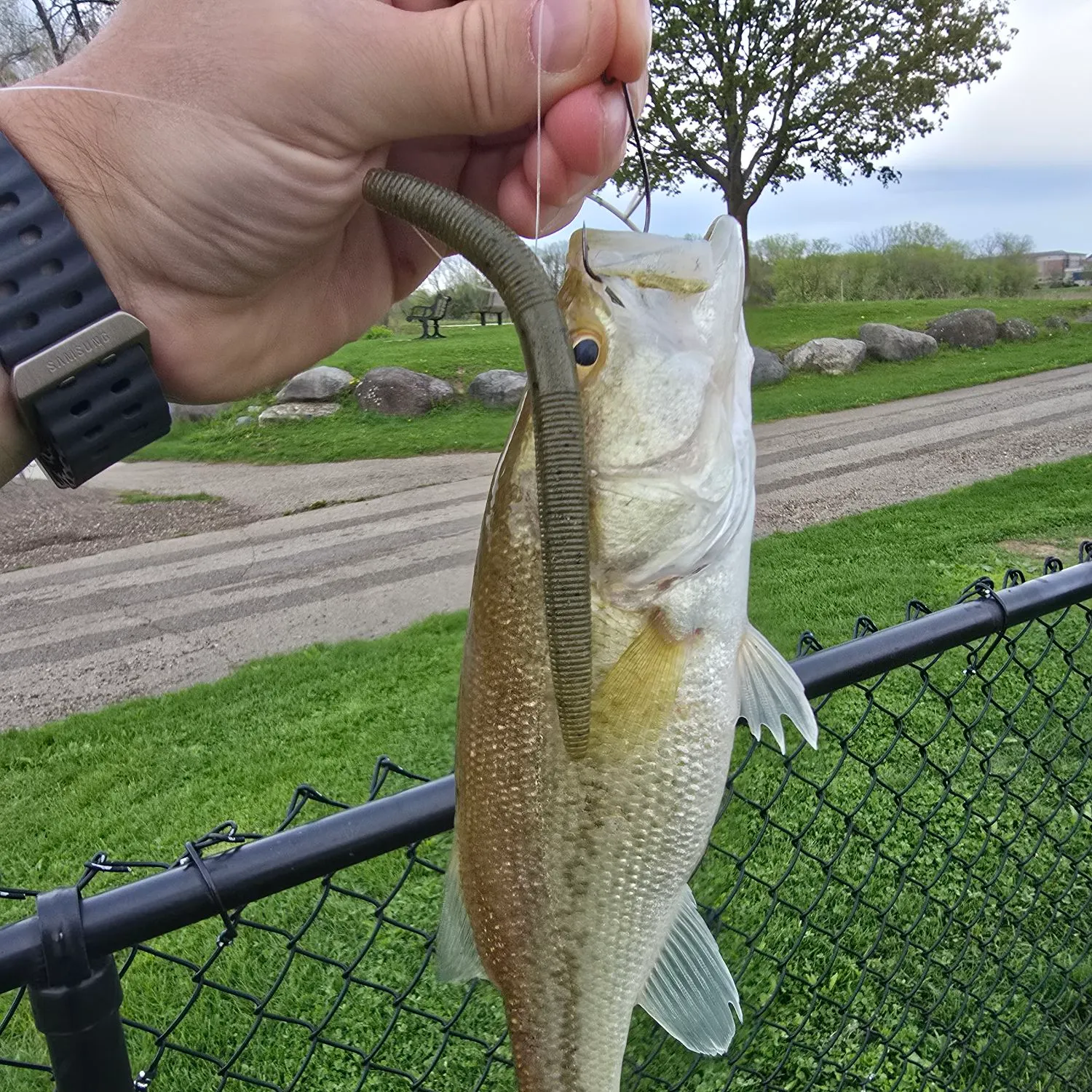 catch