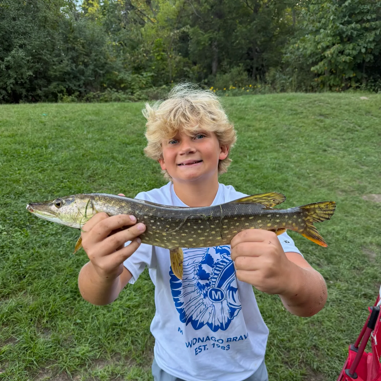 Northern pike caught on Fishbrain
