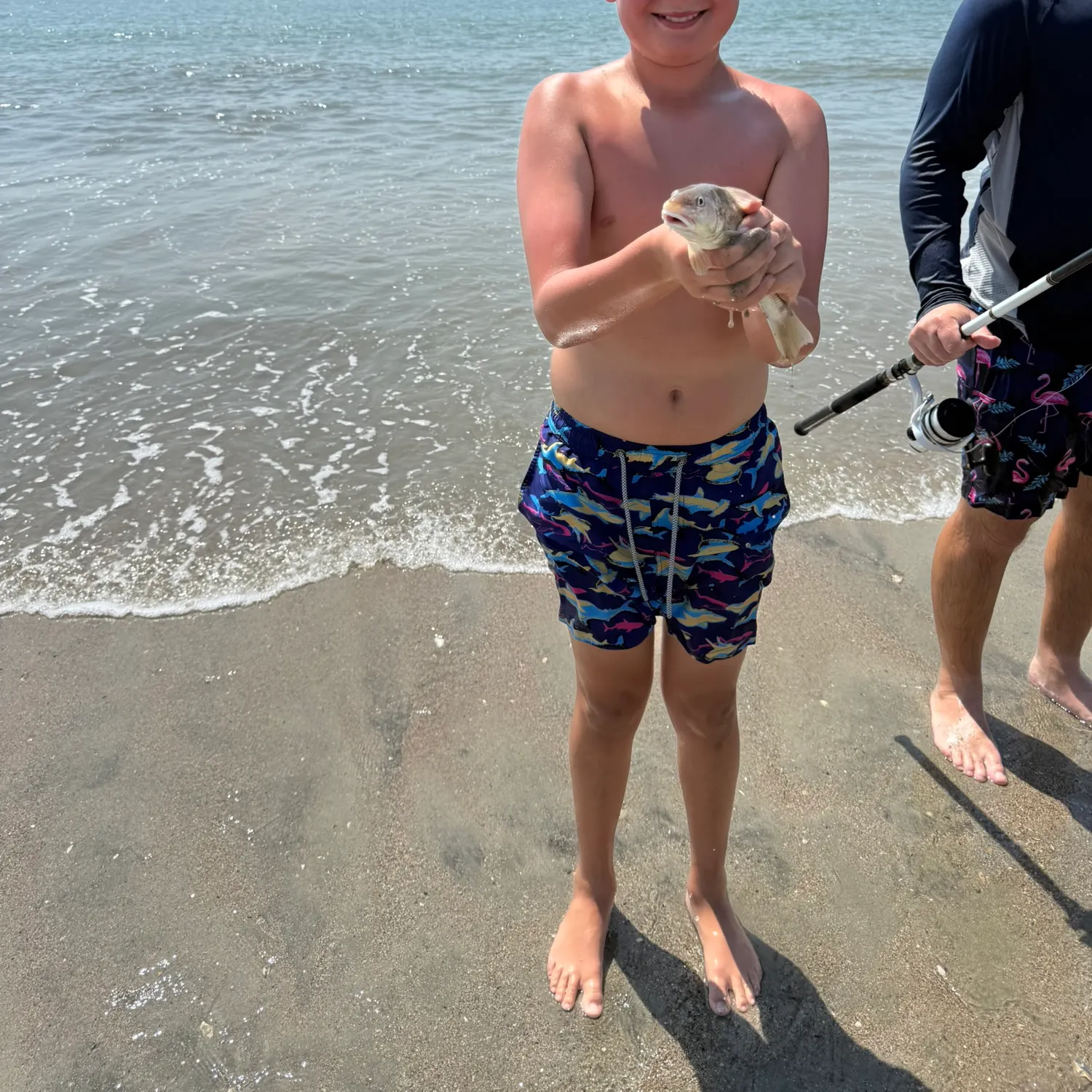 The most recent Yellowfin sillago catches on Fishbrain