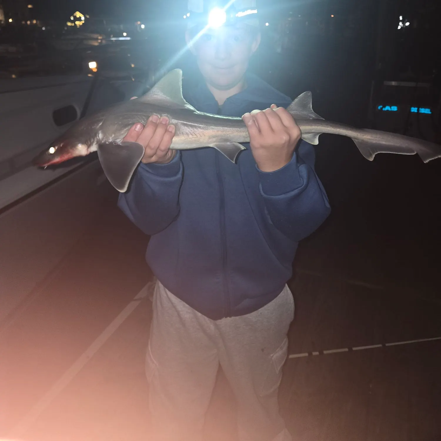 Dusky smooth-hound caught on Fishbrain