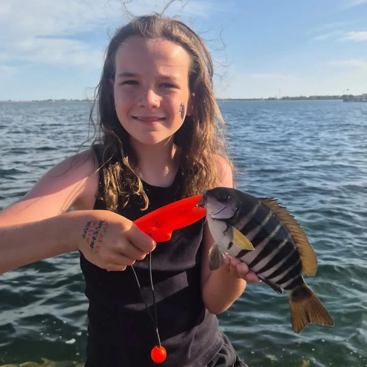 The most recent Striped seabream catches on Fishbrain