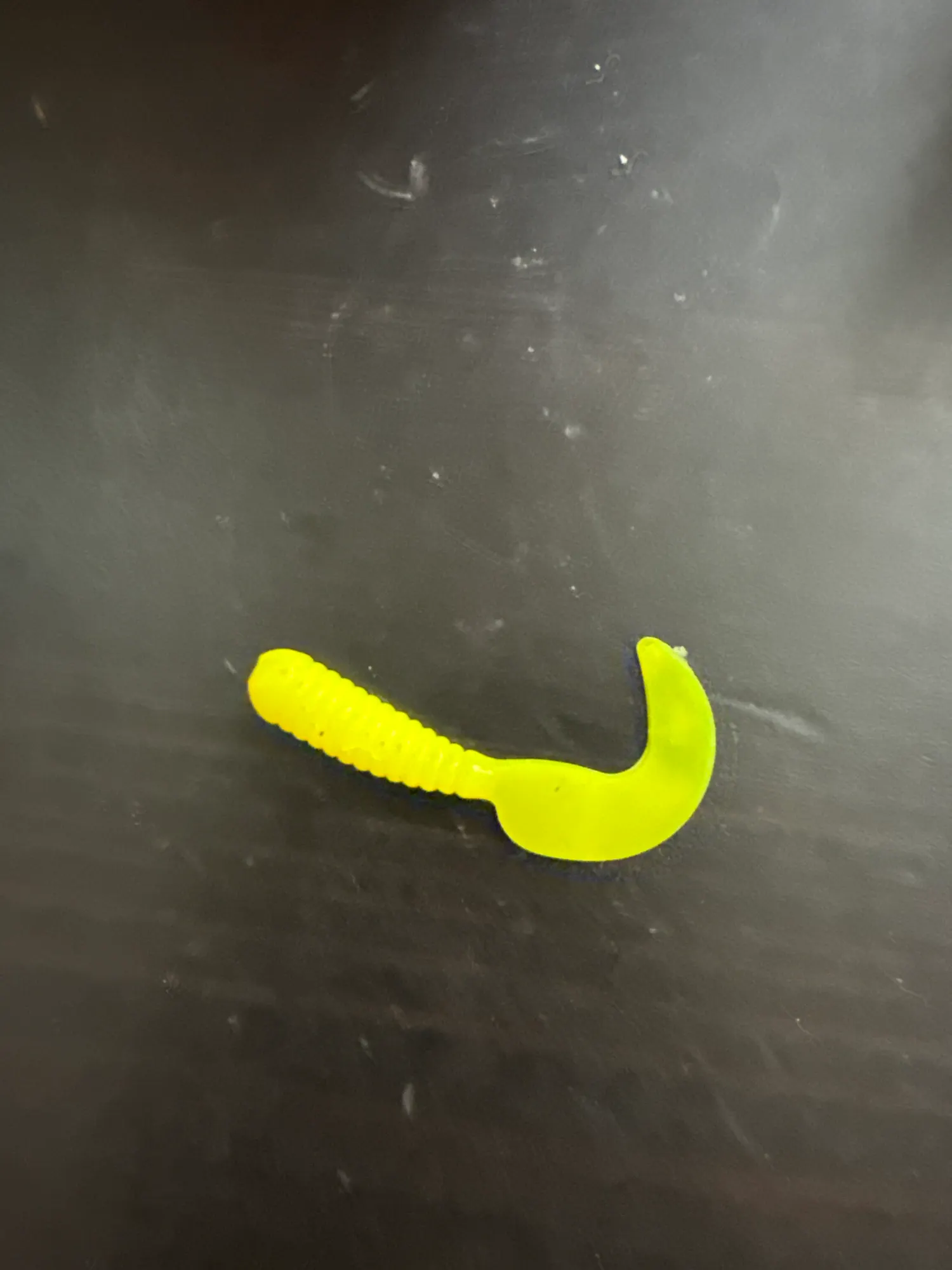 Twister Grub