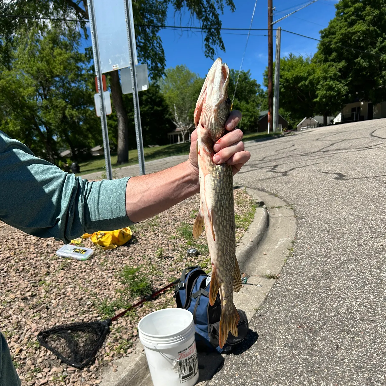 catch