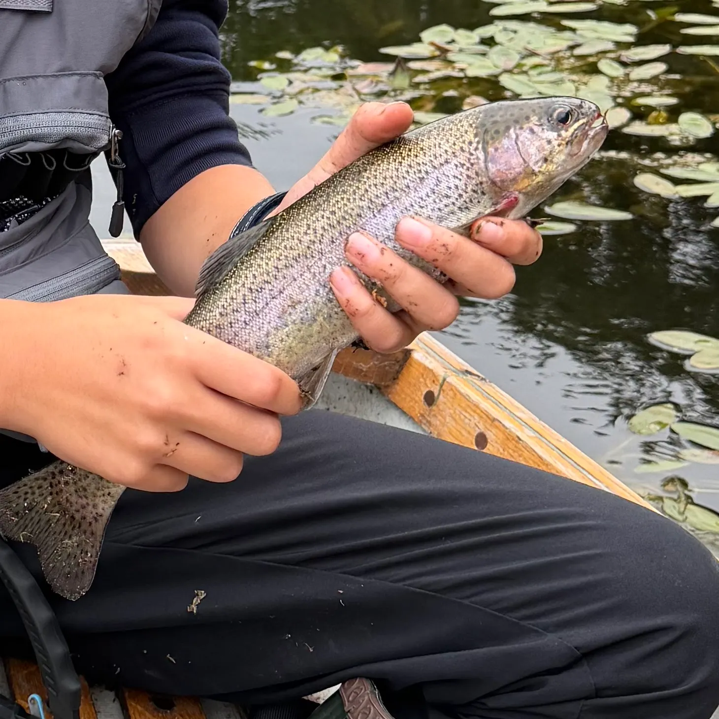 Rainbow trout caught on Fishbrain