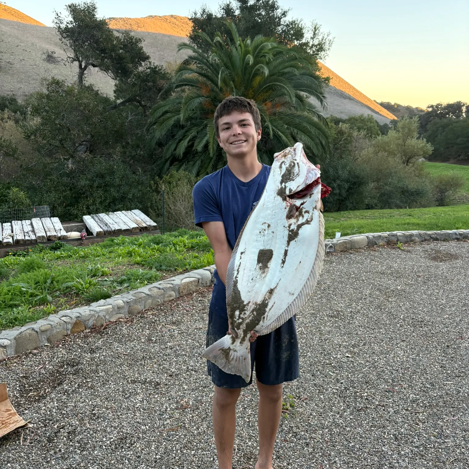The most recent California halibut catches on Fishbrain