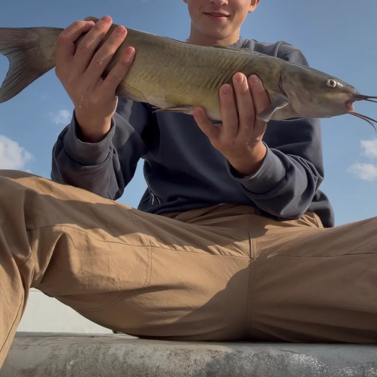 Channel catfish caught on Fishbrain
