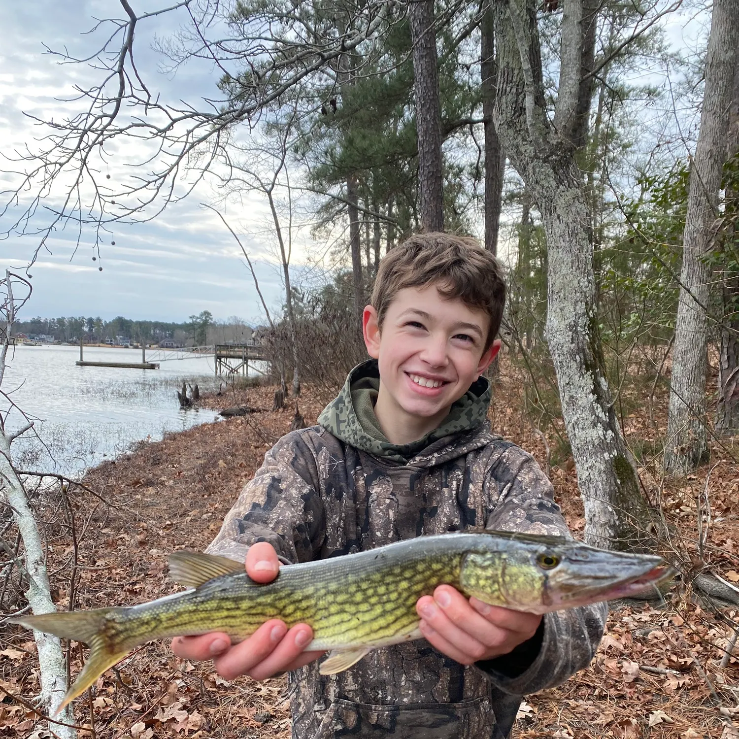 The most recent Chain pickerel catches on Fishbrain