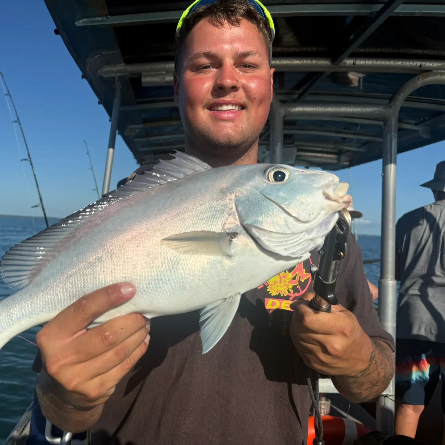 The most recent Harry hotlips catches on Fishbrain