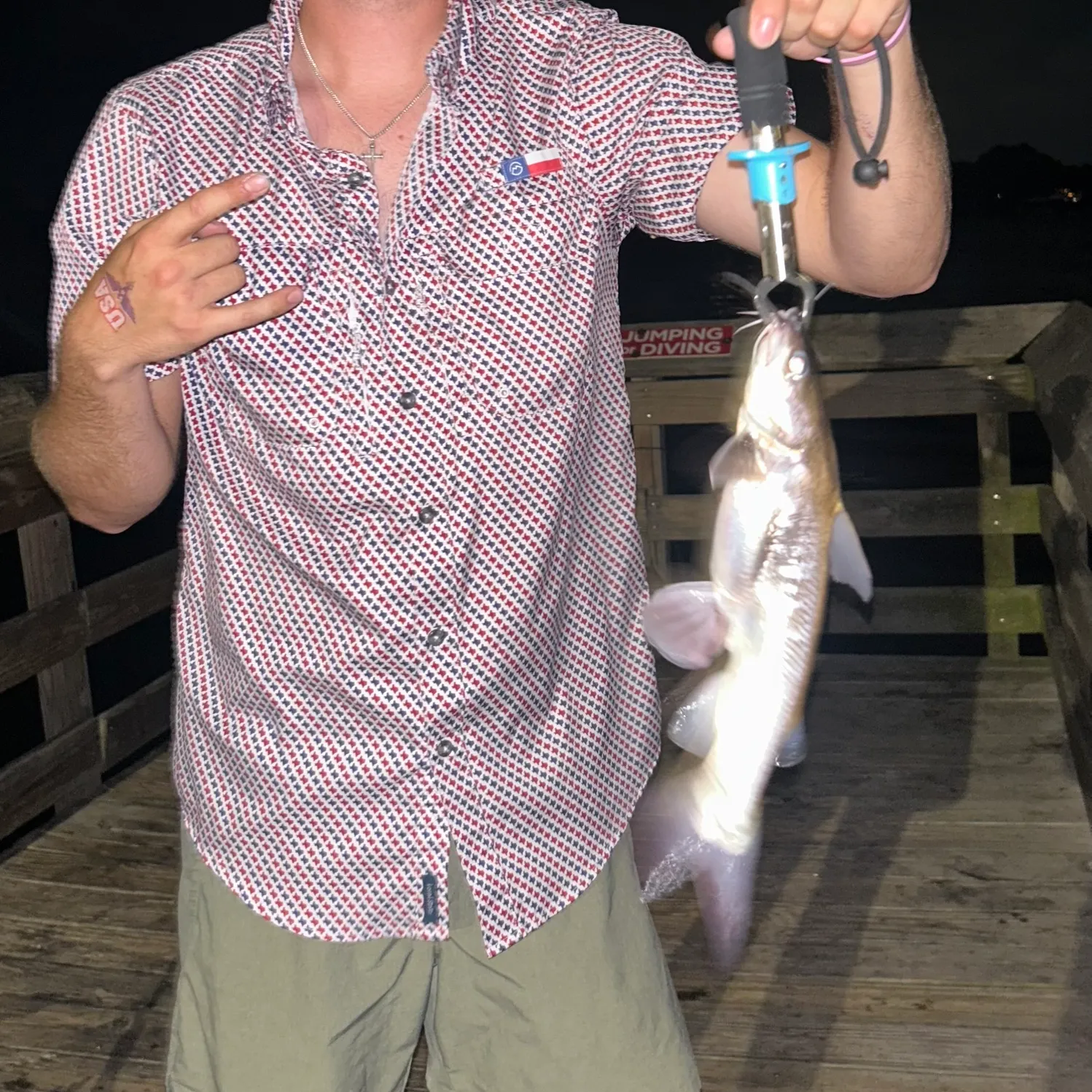 recently logged catches