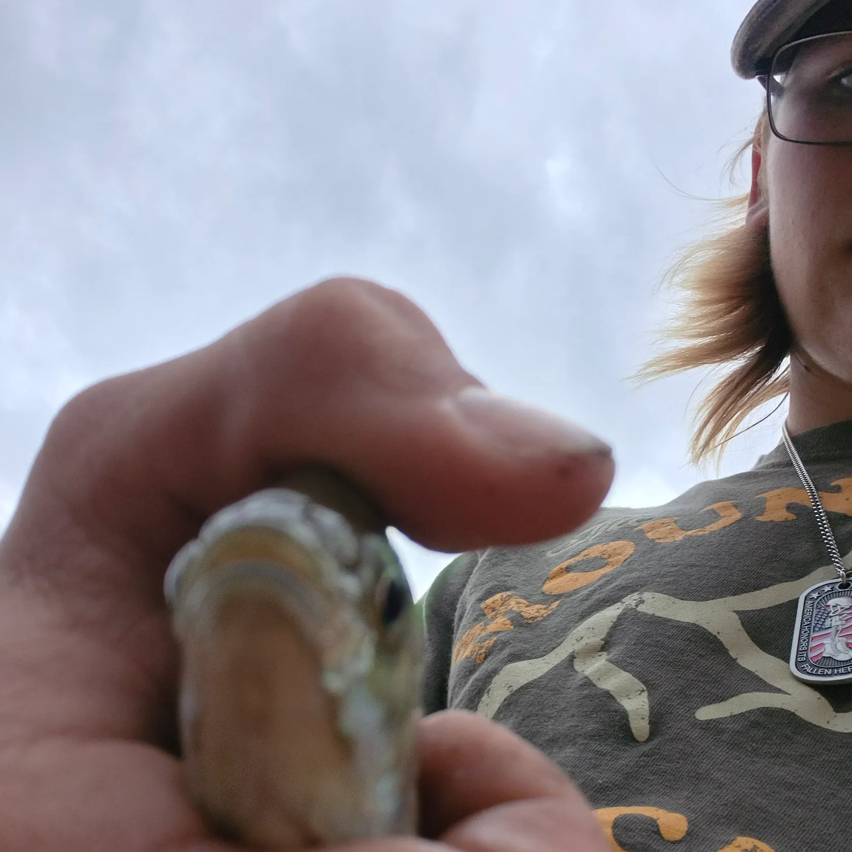 Bluegill caught on Fishbrain