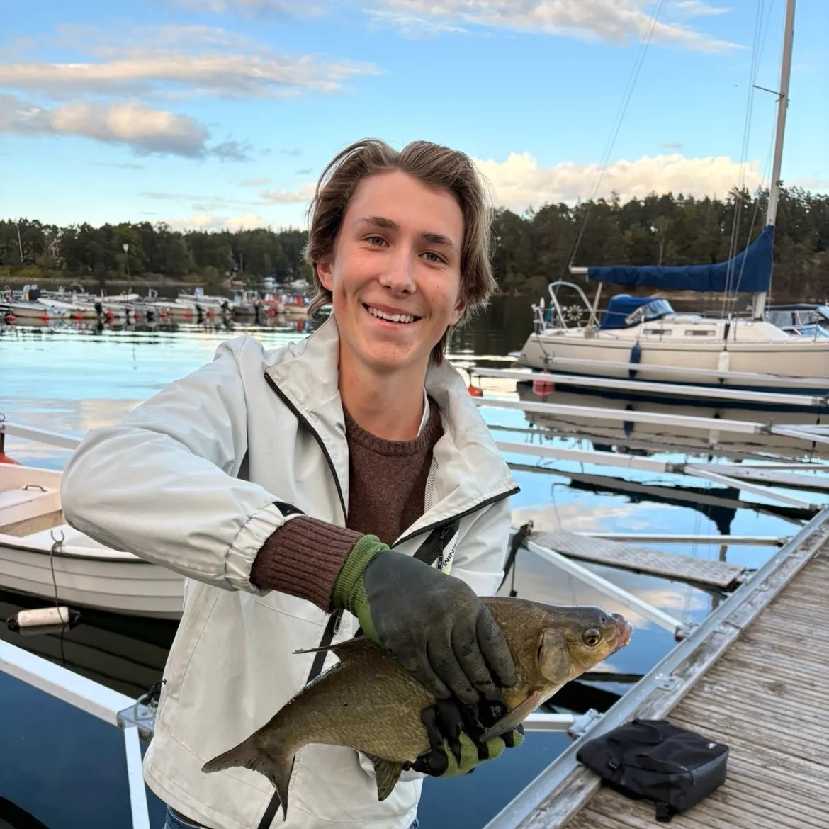 Common bream caught on Fishbrain