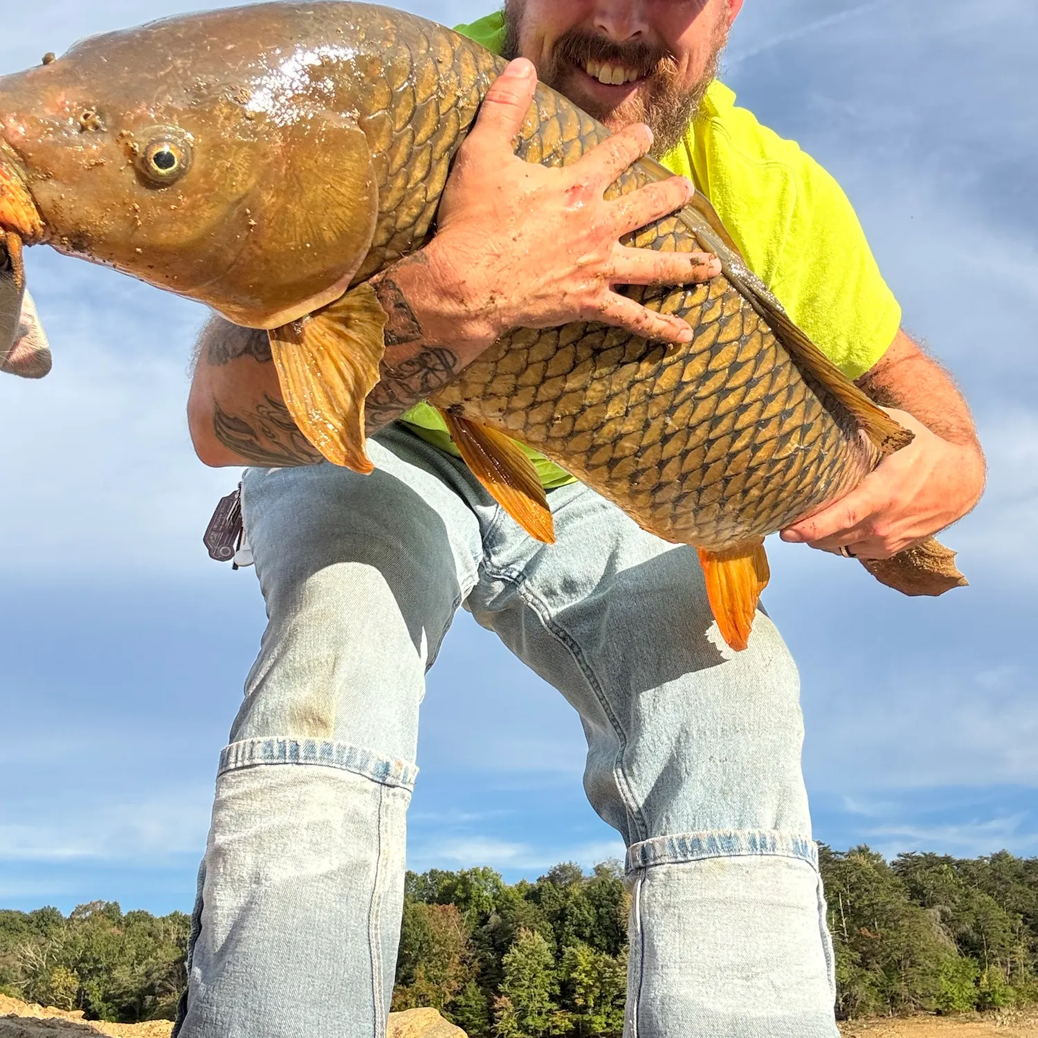 Common carp caught on Fishbrain