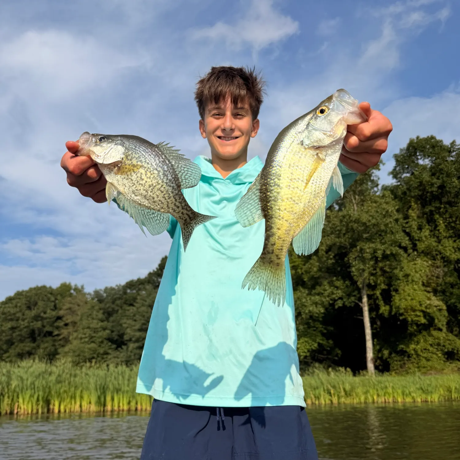 White crappie caught on Fishbrain