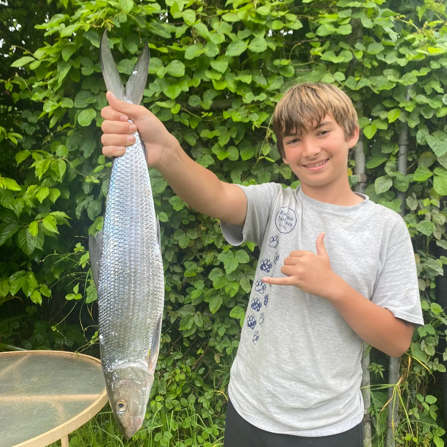 The most recent West Atlantic bonefish catches on Fishbrain