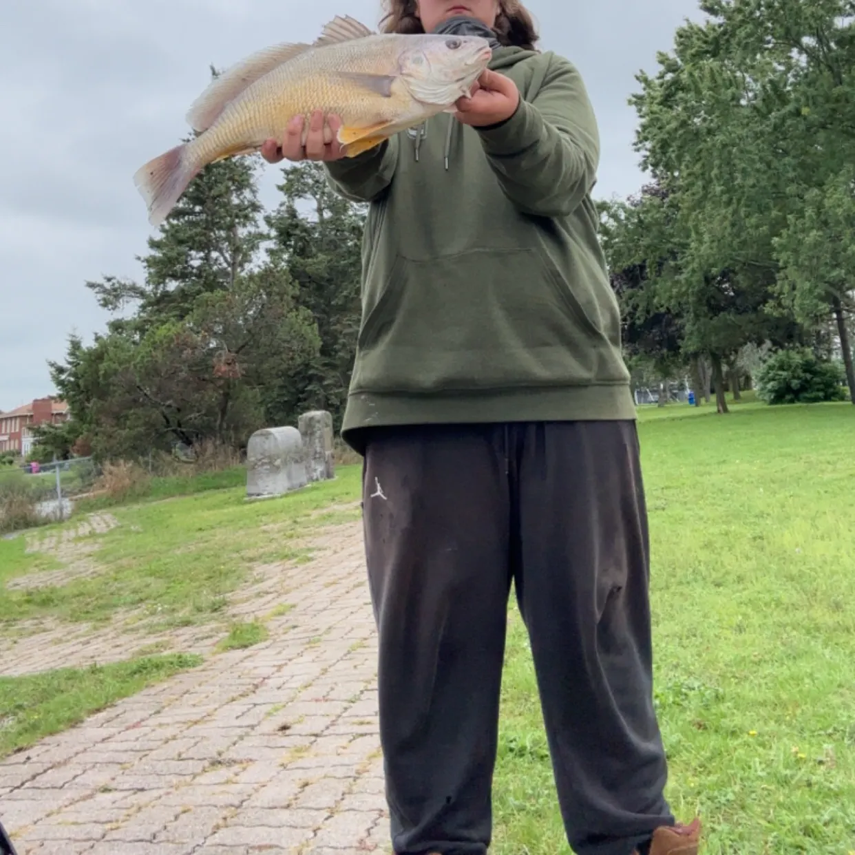 Freshwater drum caught on Fishbrain