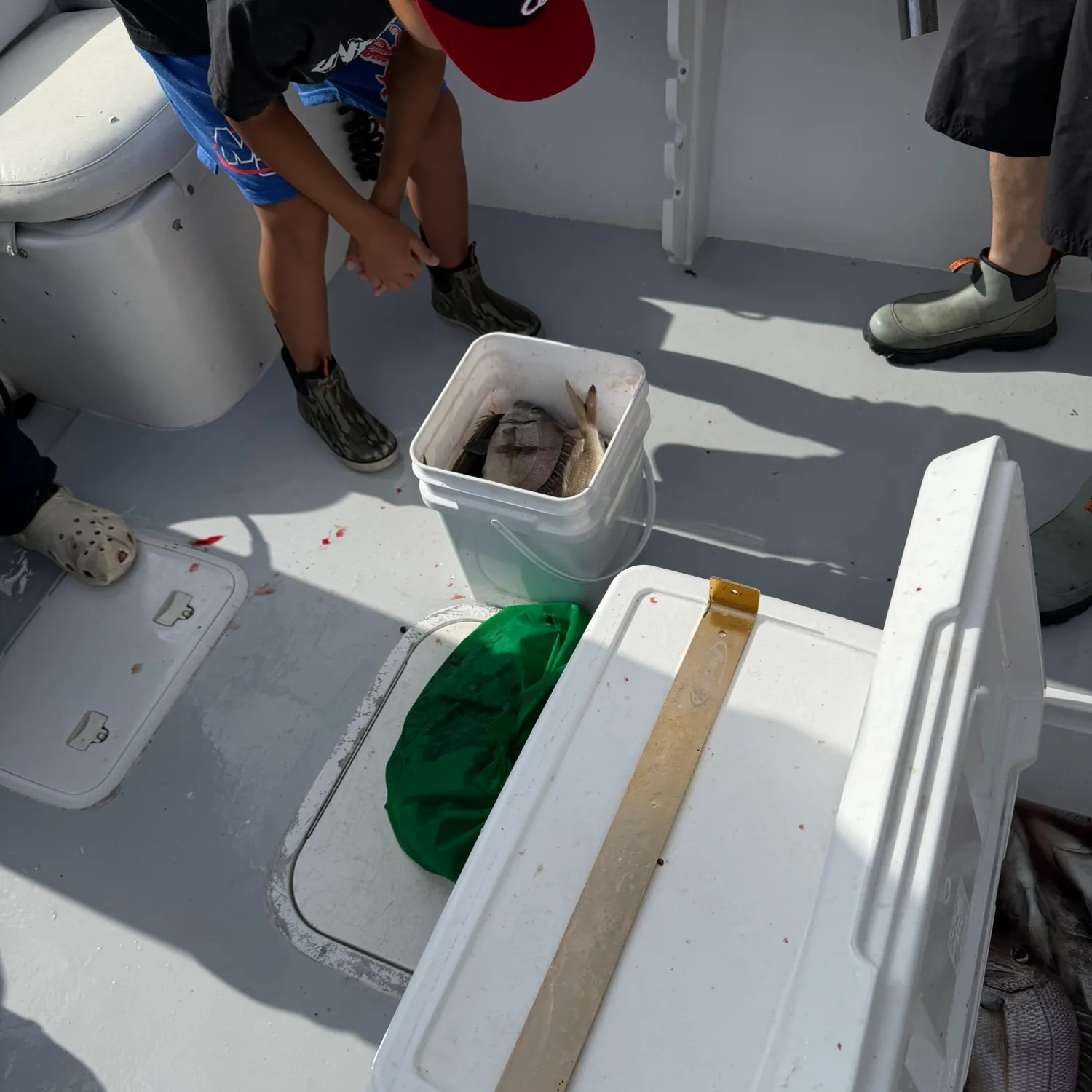 Silver porgy caught on Fishbrain