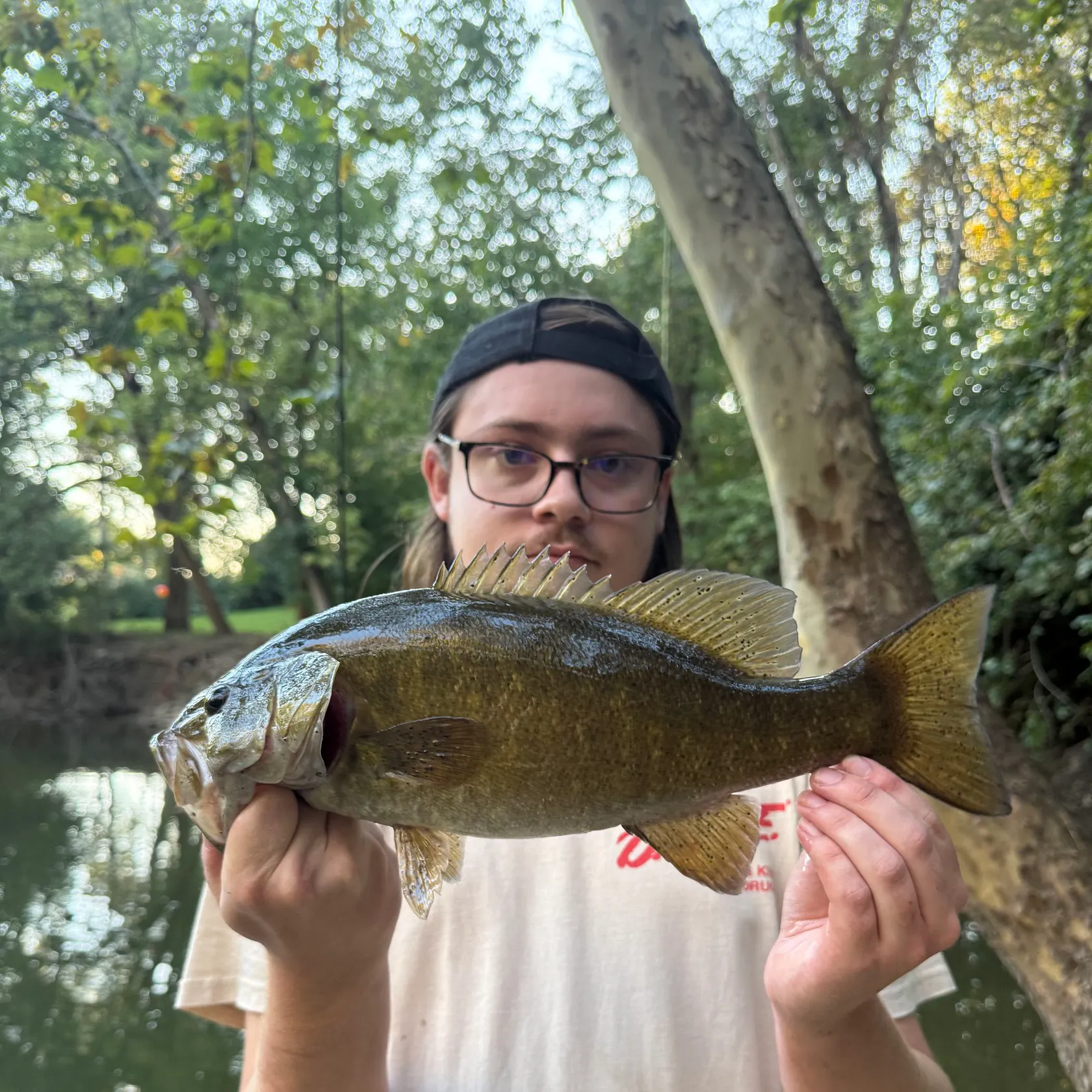 Smallmouth bass caught on Fishbrain