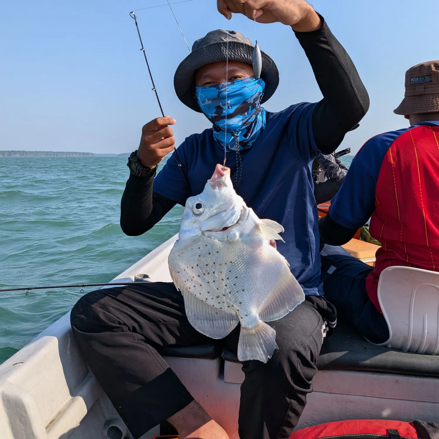 Spotted sicklefish caught on Fishbrain