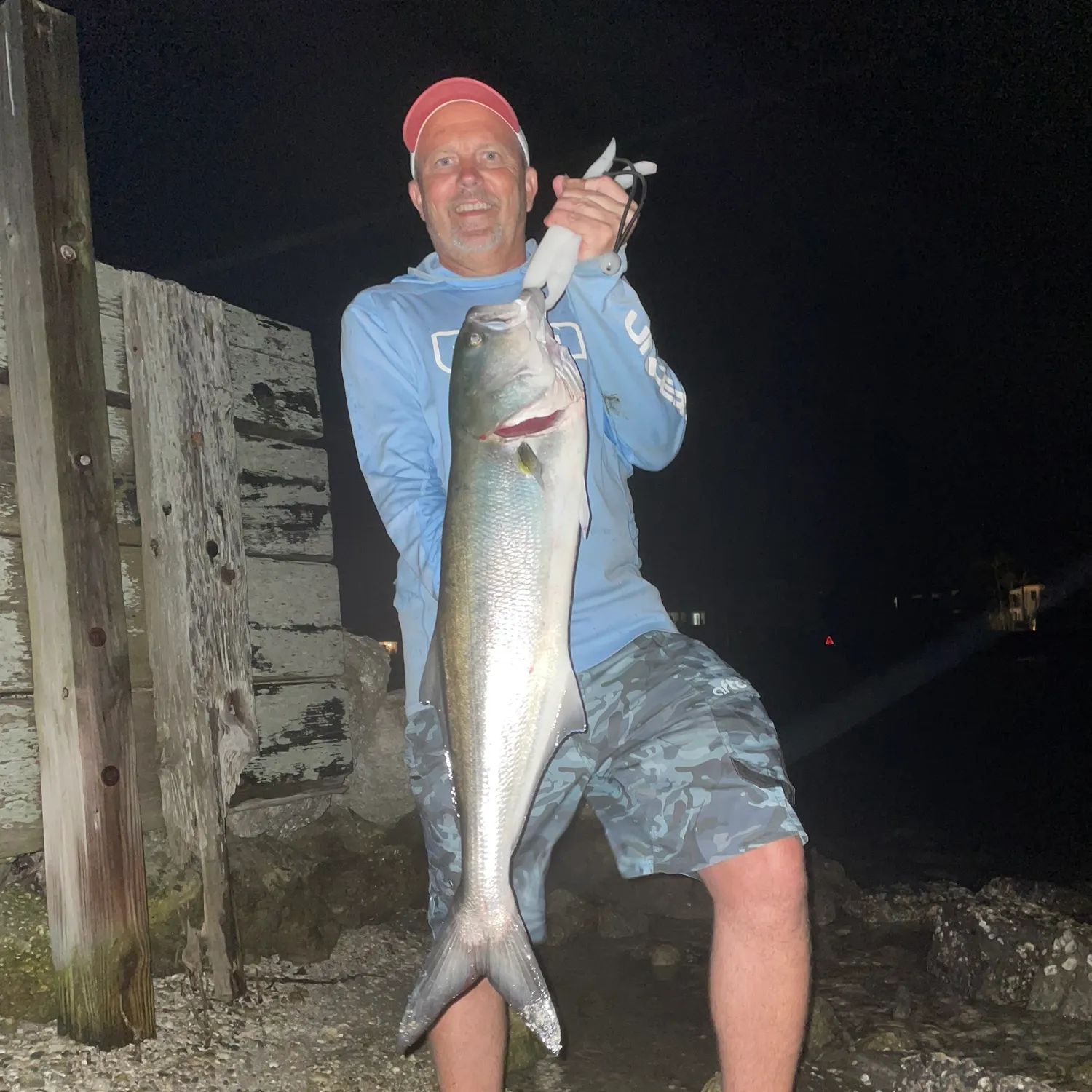 The most recent Bluefish catches on Fishbrain