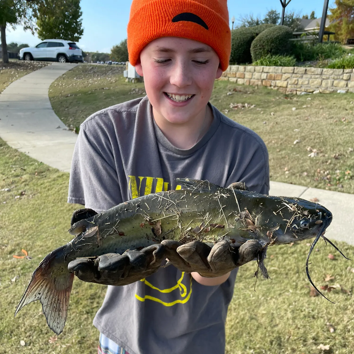 The most recent Channel catfish catches on Fishbrain