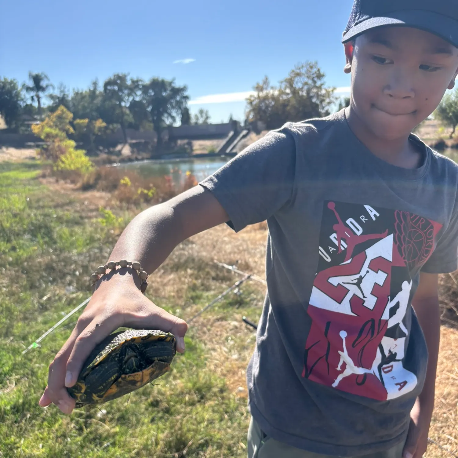 Pond slider turtle caught on Fishbrain