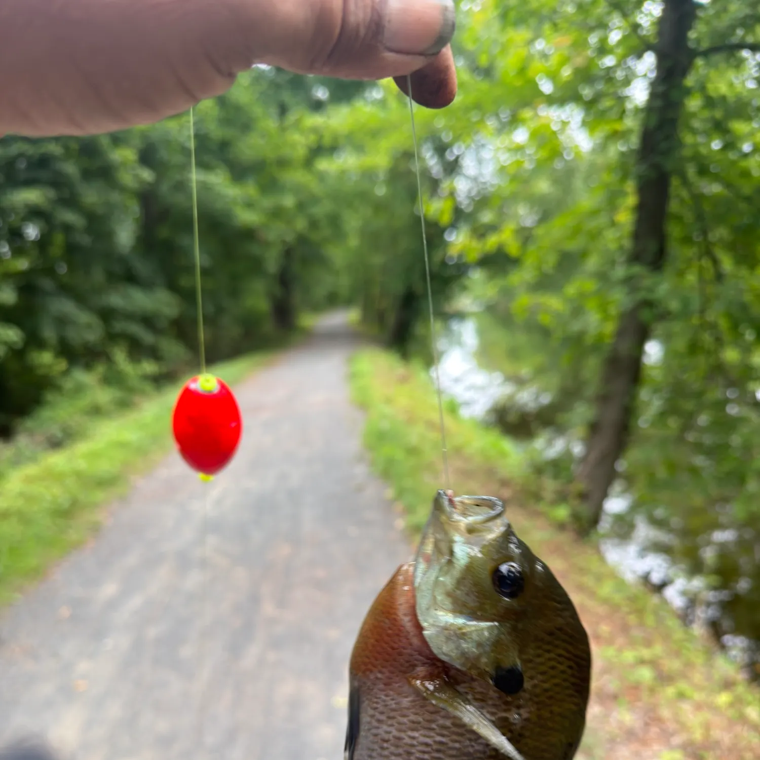catch