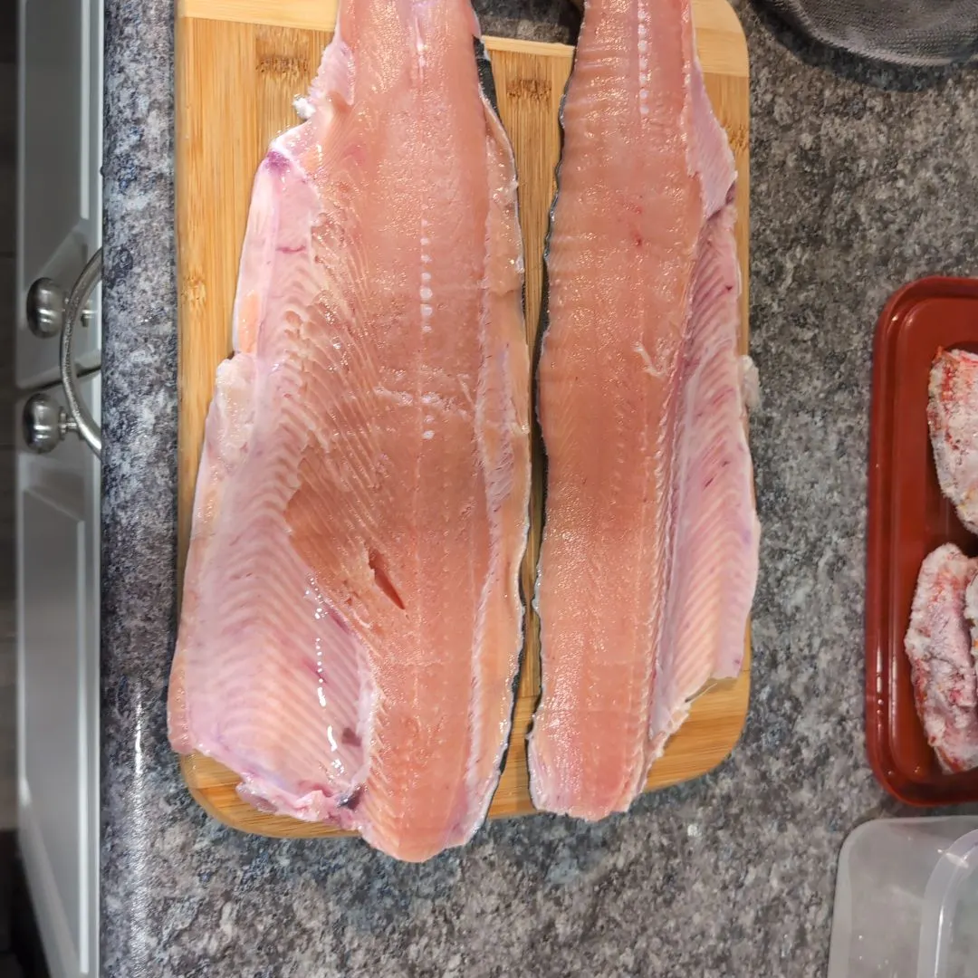 The most recent Pink salmon catches on Fishbrain