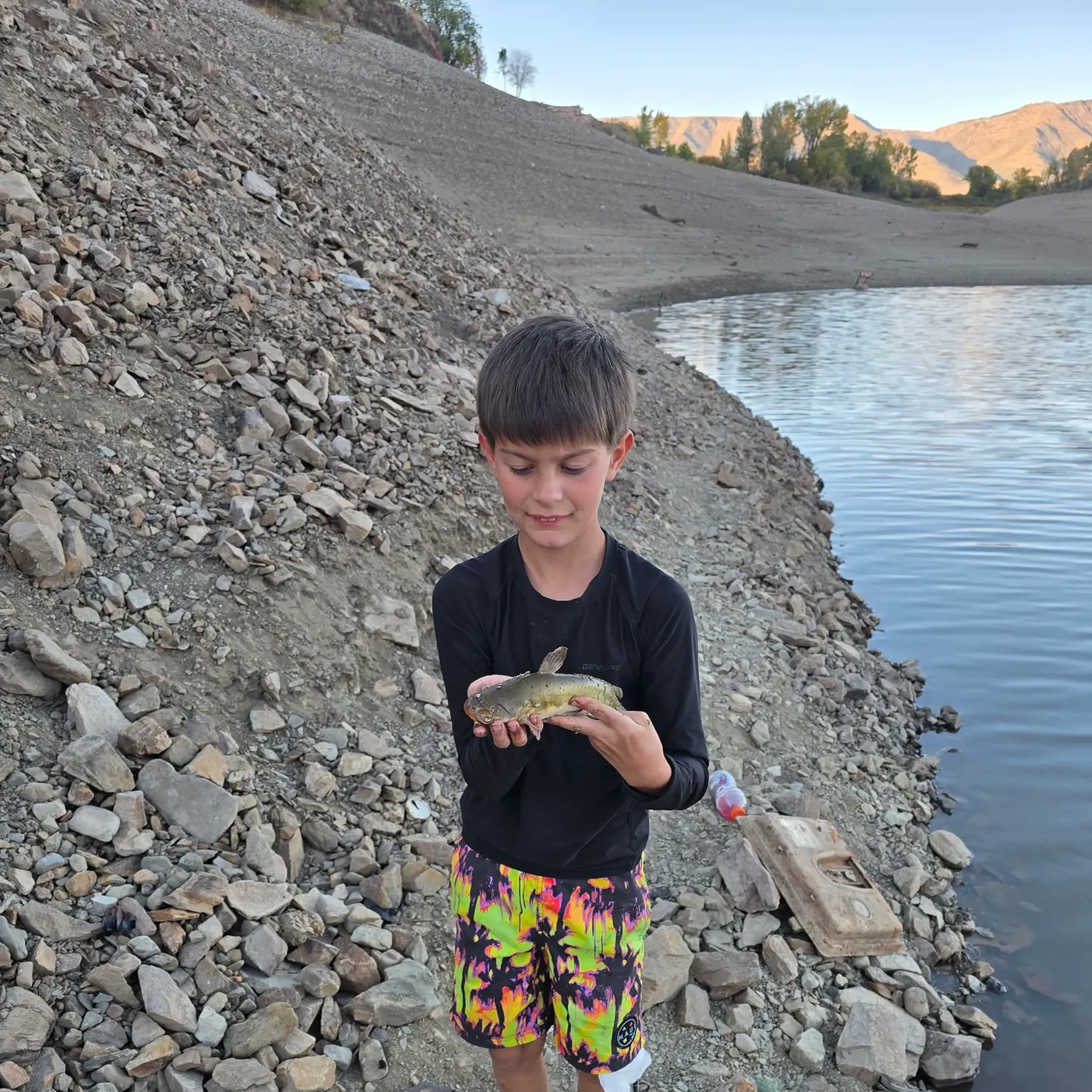 Yellow bullhead caught on Fishbrain