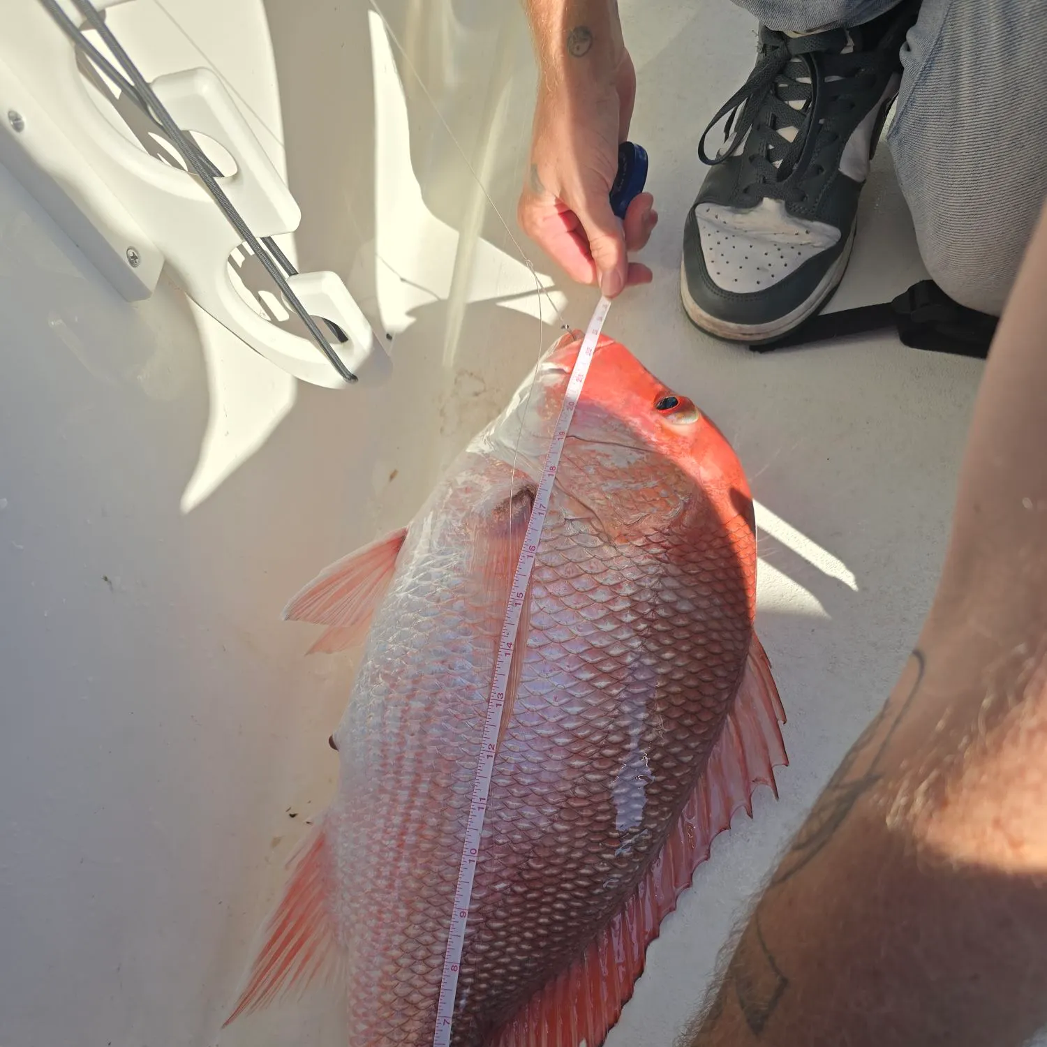 The most recent Northern red snapper catches on Fishbrain