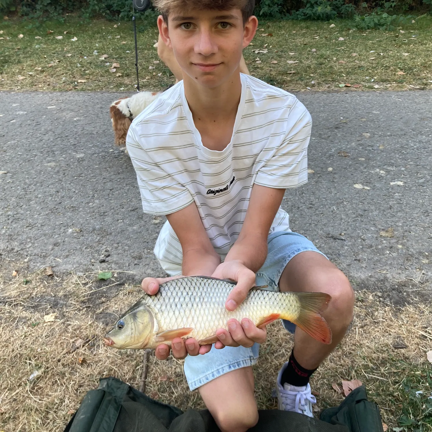Common carp caught on Fishbrain