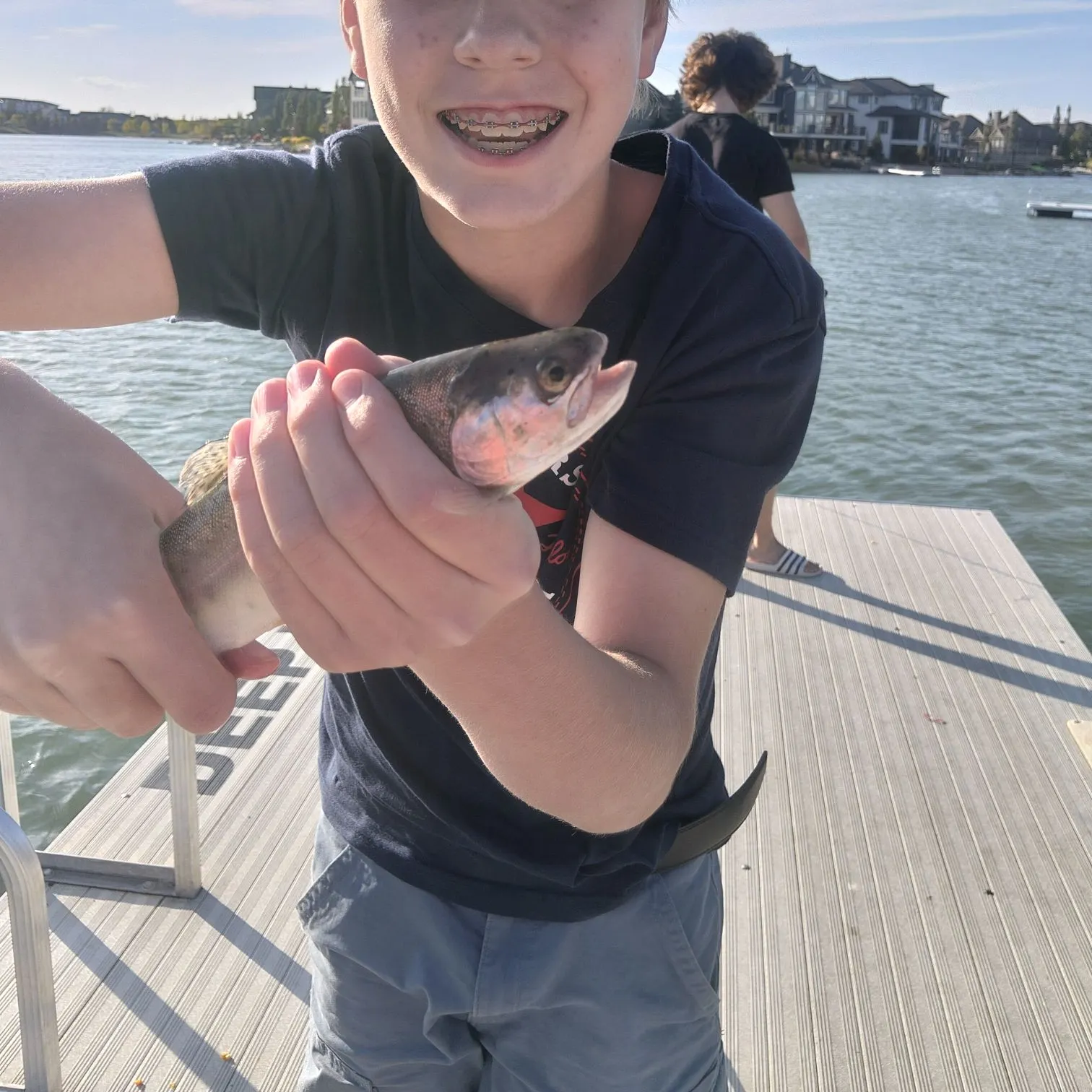 Rainbow trout caught on Fishbrain