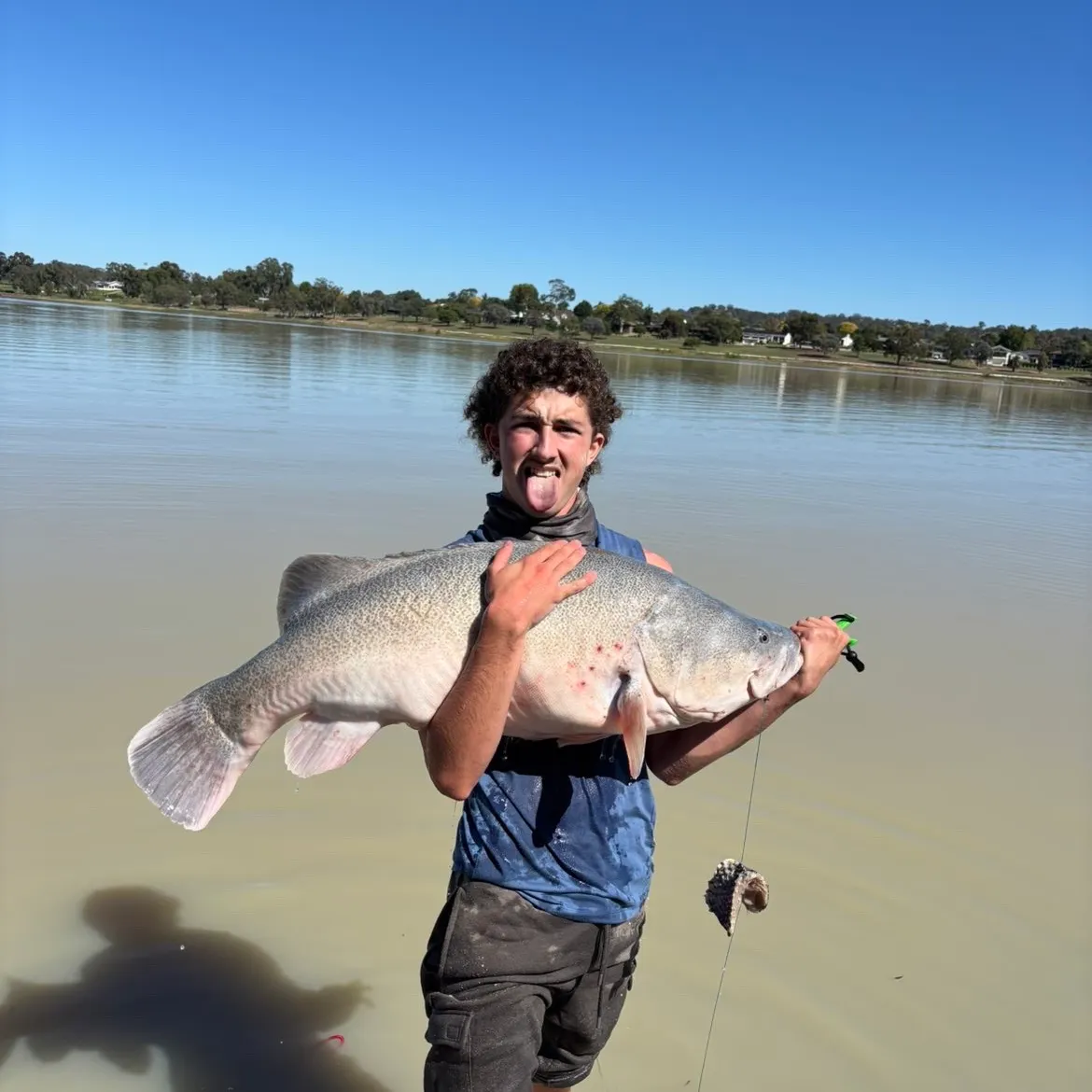 The most recent Murray cod catches on Fishbrain