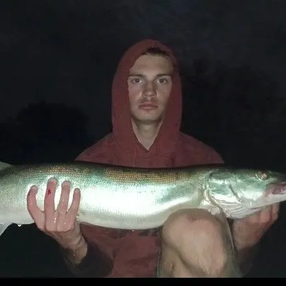 Muskie caught on Fishbrain