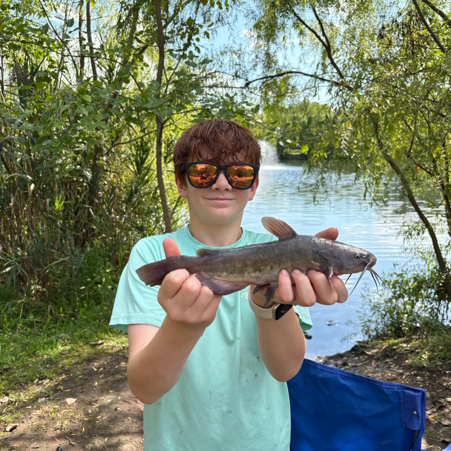 Brown bullhead caught on Fishbrain