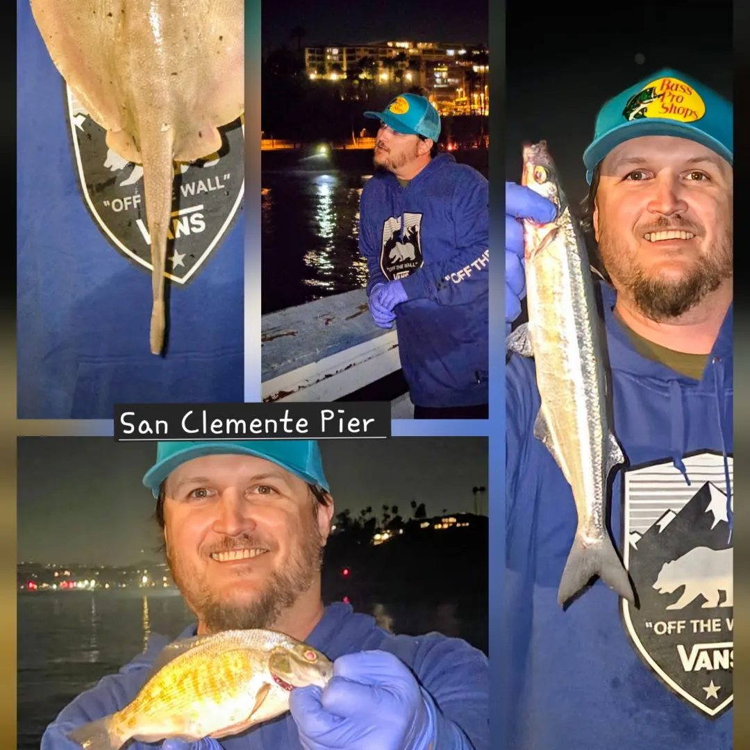 The most recent Spotfin croaker catches on Fishbrain