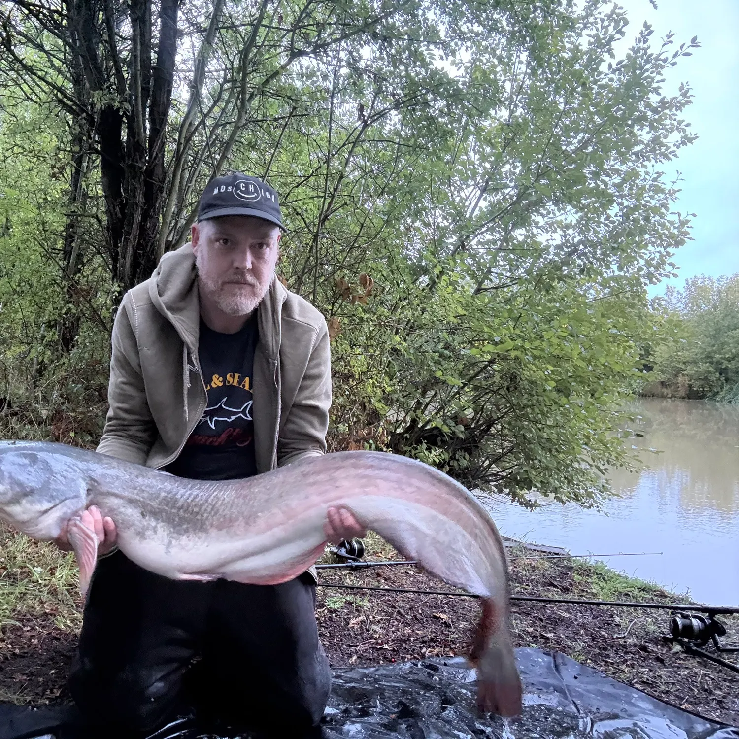 The most recent Wels catfish catches on Fishbrain